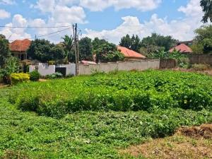 Land for sale Kyanja  Kampala Central Kampala Central