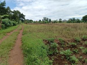 Land for sale Kira  Kampala Central Kampala Central