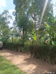 Land for sale Kamila luwero kikyusa  Luweero Central