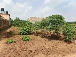 Land for sale Seeta bajjo Bajo Mukono Central