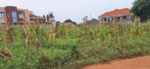 Land for sale Najjera buwaate  Kampala Central