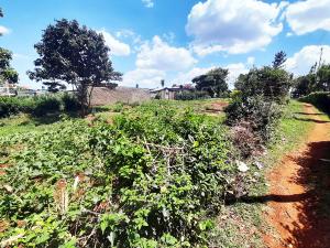 Land for sale Ruaka Nairobi