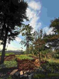 Residential Land for sale Loresho Loresho Nairobi