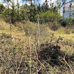 Land for sale Membley Ruiru