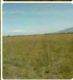 Land for sale Kangundo Road Kangundo