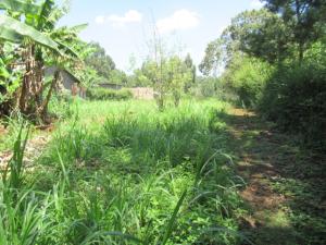 Land for sale Off Limuru Rd Ruaka Nairobi