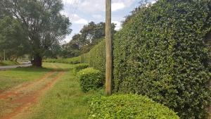 Land for sale Nyeri Town Nyeri