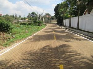 Residential Land for sale Mushroom Gardens Estate, Kiambu Kiambu