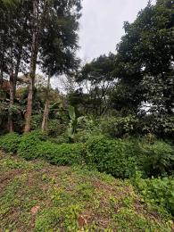 Land for sale Kitisuru Nairobi