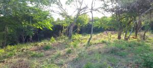 Land for sale Kilifi North Kilifi