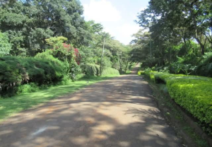 Land for sale Karen Nairobi