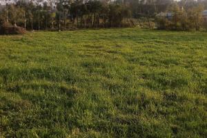 Land for sale Ngong Kajiado