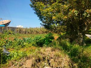 Land for sale Riara ridge Tigoni Limuru