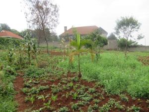 Residential Land for sale Off Pan African Insurance Avenue, Runda Nairobi