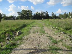 Residential Land for sale Kuwinda Rd Karen Nairobi