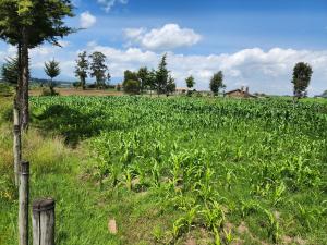 Land for sale Ol Kalou Nyandarua