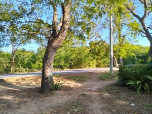Land for sale Kilifi North Kilifi