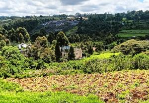 Land for sale Kikuyu Kiambu