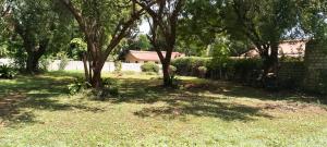Land for sale Malindi Kilifi