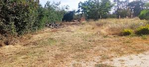 Land for sale Kitengela Kajiado