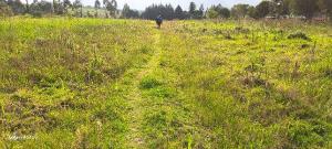Land for sale Lavington Nairobi