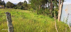 Land for sale Lavington Nairobi