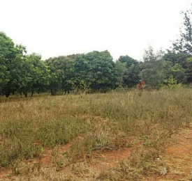 Land for sale Kambiti, Kenol Muranga