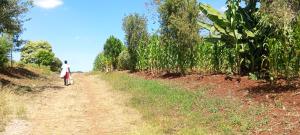 Land for sale Tigoni Limuru