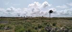 Land for sale Kilifi North Kilifi