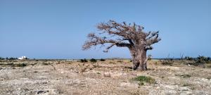 Land for sale Kilifi North Kilifi