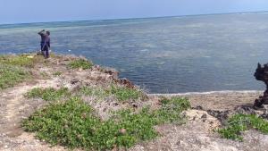 Land for sale Kilifi North Kilifi