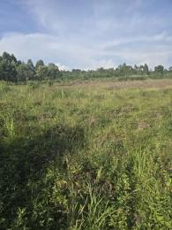 Land for sale Nyenga buikwe mbale Buikwe Central