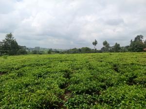 Land for sale Riara ridge, Nazareth Tigoni Limuru