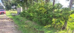 Agricultural Land for rent Thogoto Kikuyu