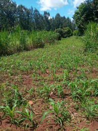 Land for sale Kenol Muranga