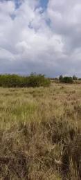 Land for sale Nanyuki Nanyuki