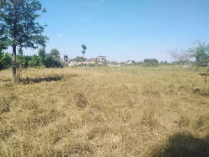 Land for sale Kamakis Ruiru
