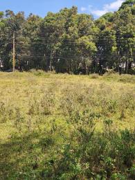 Land for sale Karen Nairobi