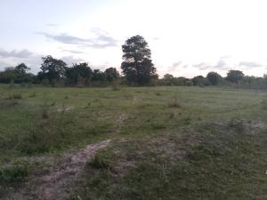 Land for sale Malindi Kilifi