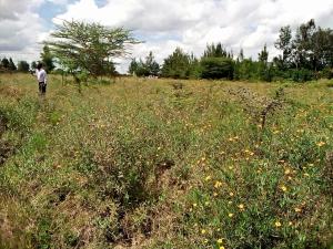 Land for sale Ongata Rongai Kajiado