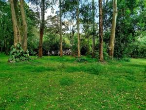 Land for sale Karen Nairobi