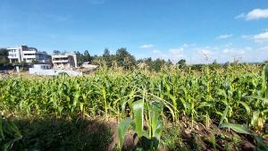 Land for sale Matasia Kiserian