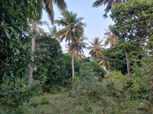 Land for sale Watamu Watamu