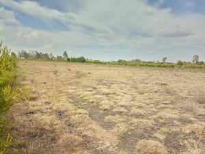 Land for sale Kiserian Kiserian