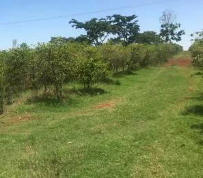 Land for sale Kamakis Ruiru