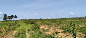Land for sale Kilifi North Kilifi
