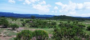 Land for sale Gilgil Nakuru