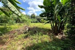 Land for sale Karen Nairobi
