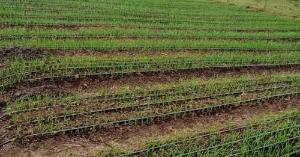 Land for sale along isinya-kiserian road, Kiserian Kiserian