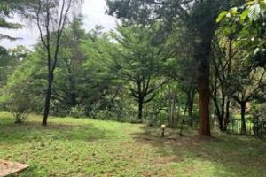 Land for sale Lavington Nairobi